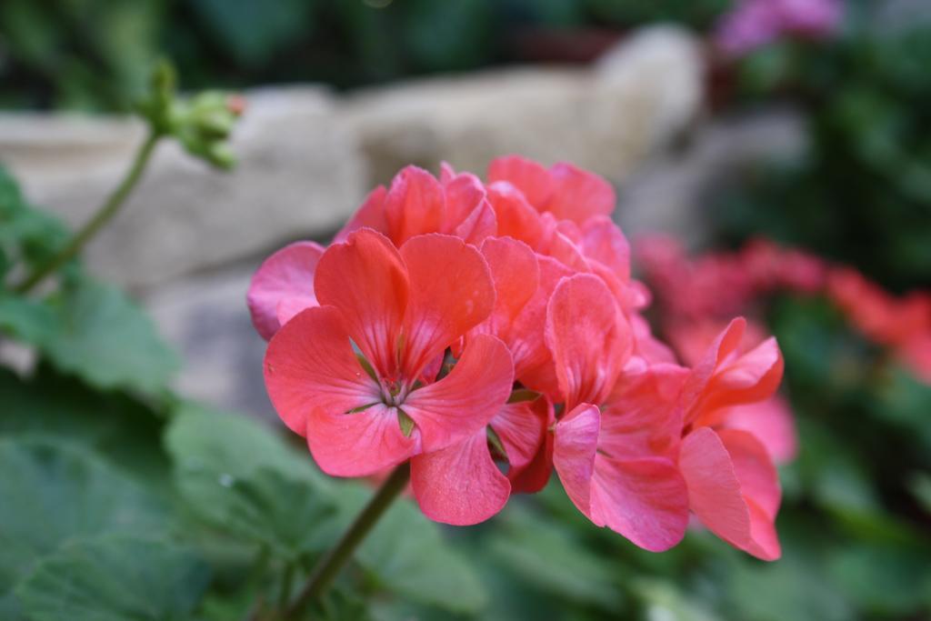 Bed and Breakfast Kerkent Agrigento Zewnętrze zdjęcie